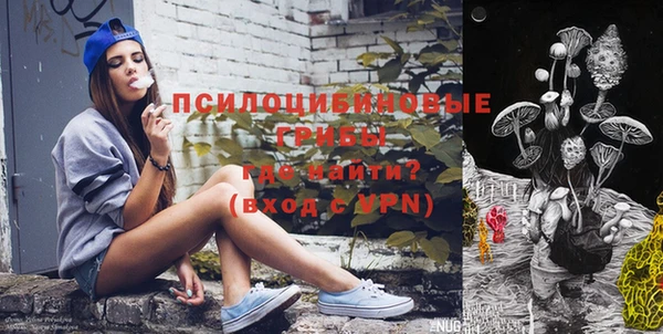 МДПВ Осинники