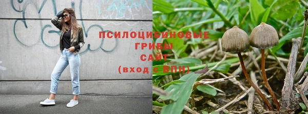 МДПВ Осинники