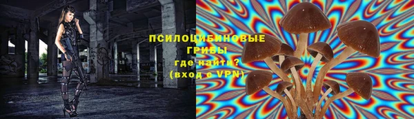 МДПВ Осинники