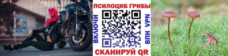 Галлюциногенные грибы ЛСД  Бирюч 