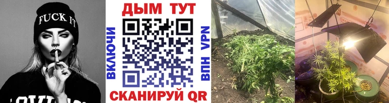 Бошки Шишки план Бирюч